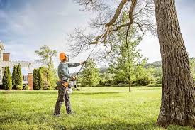 Best Tree Mulching  in Merritt Park, NY